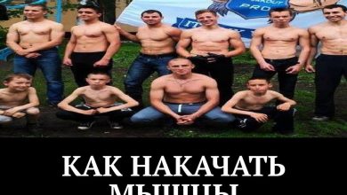 Photo of «Как накачать мышцы дома»