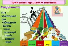 Photo of Основные принципы спортивного питания