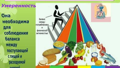 Photo of Основные принципы спортивного питания