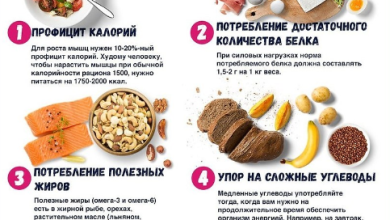 Photo of Правильное питание для набора мышечной массы