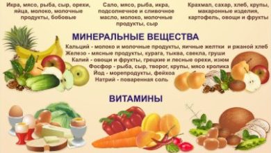 Photo of «Советы по правильному питанию для активного образа жизни»